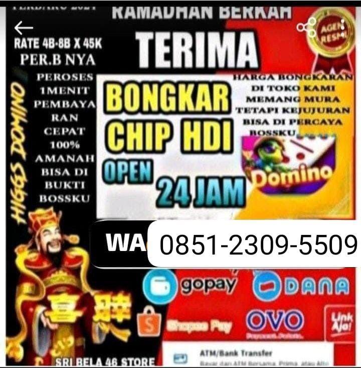 Jual Agen Domino OVO Terpercaya di Indonesia